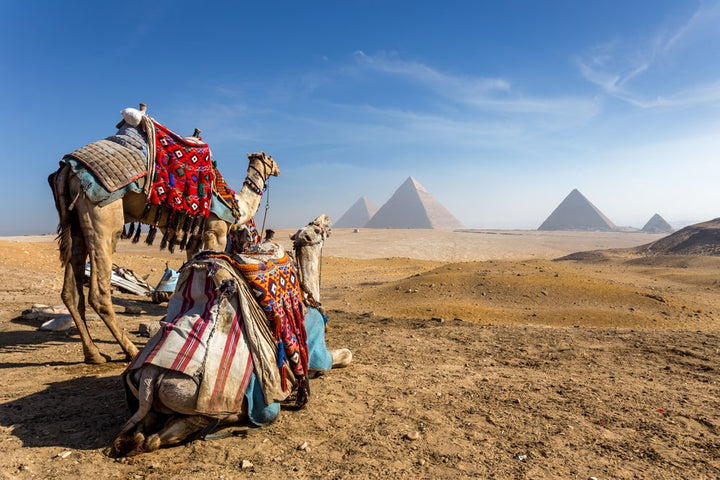 Gaia Private Tour of Pre-diluvian Egypt + Nile Cruise Package