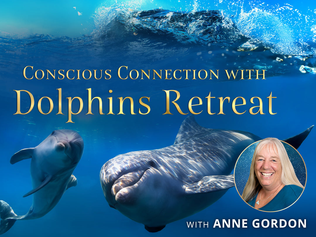 Conscious Connection with Dolphins Retreat - June 2026
