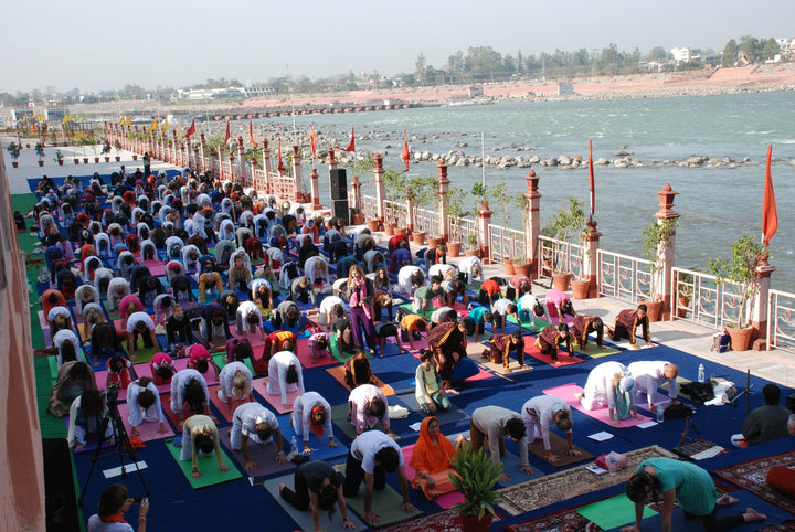 International Yoga Festival