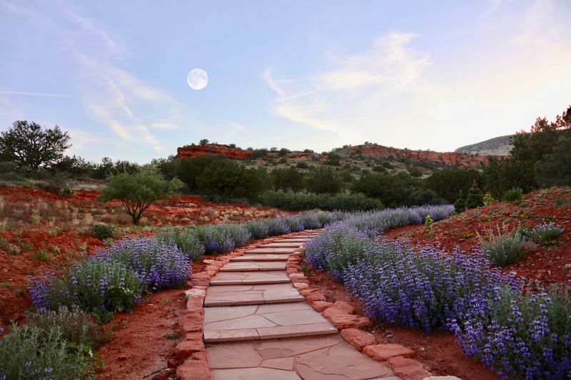 Love Heals 2026: A Sedona Mago Retreat