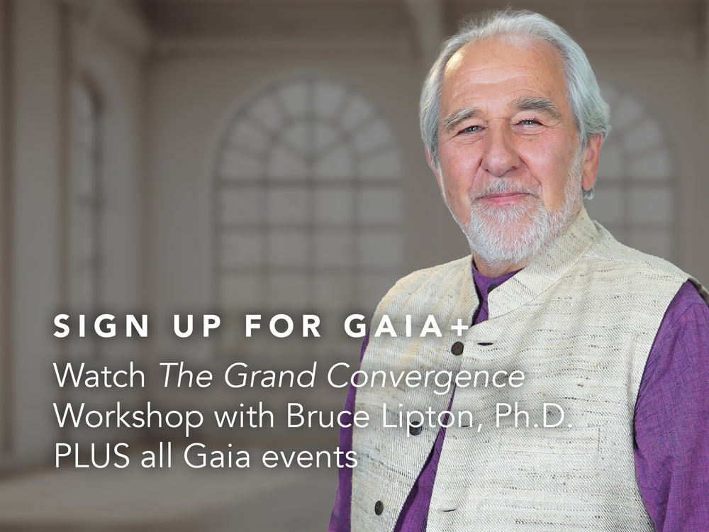 Gaia+ The Grand Convergence Workshop