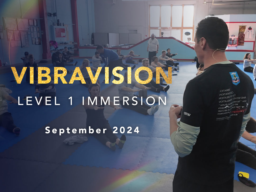 Vibravision - Level 1 Immersion