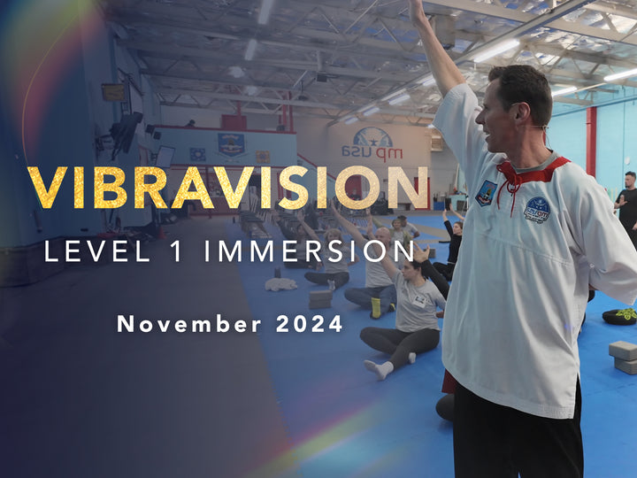 Vibravision - Level 1 Immersion