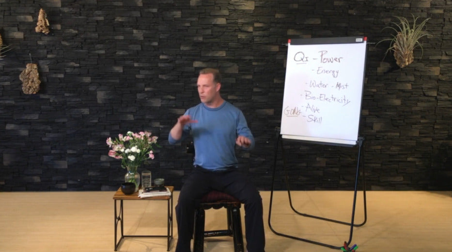 Qi Gong for Stress & Anxiety Workshop